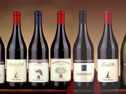 (foto Cantina Produttori di Govone)