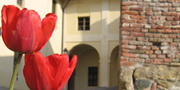 Scorcio dall'angolo fiorito del cortile